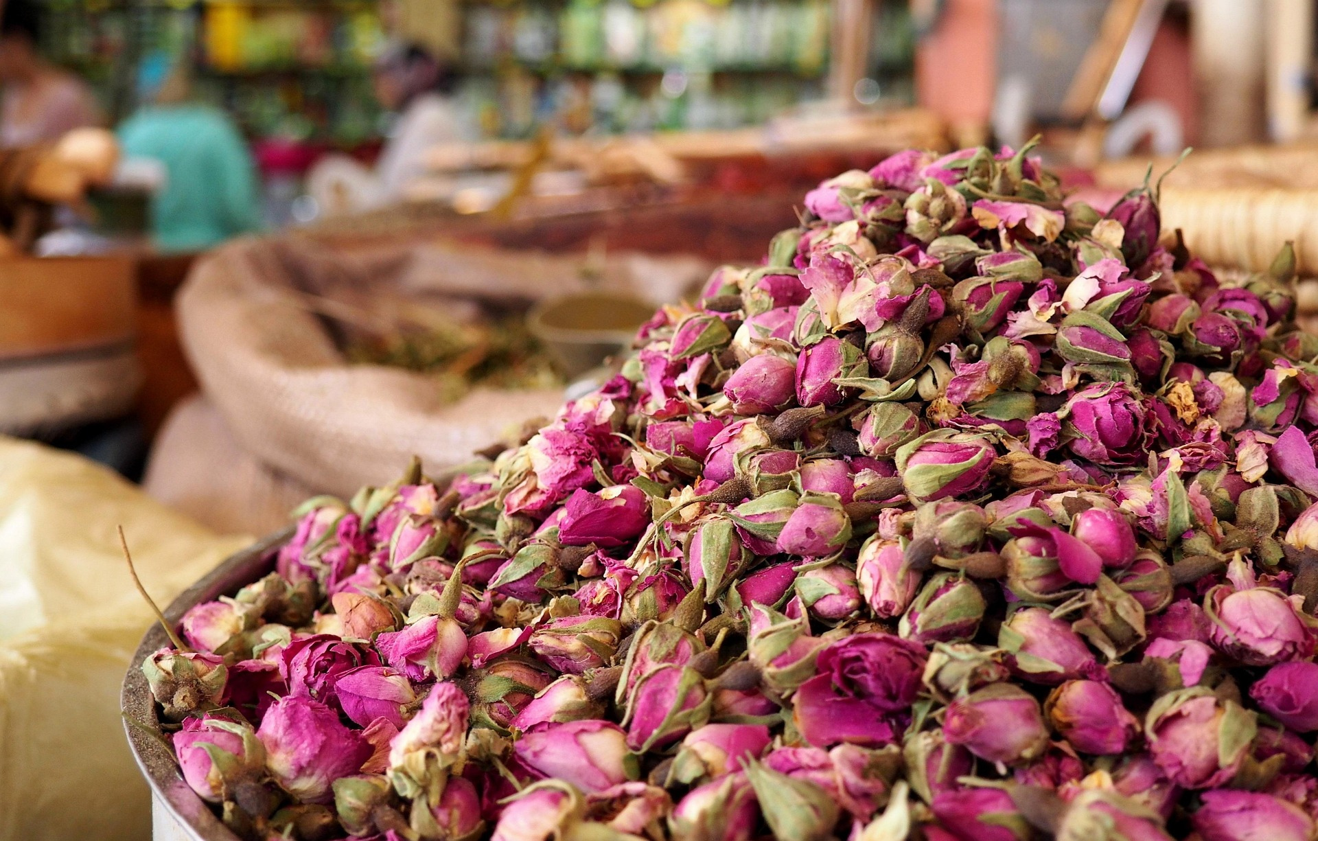 Moroccan Roses – The Bloom of Soft Lips